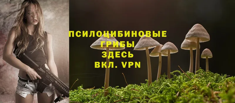 Галлюциногенные грибы Magic Shrooms  Заволжск 